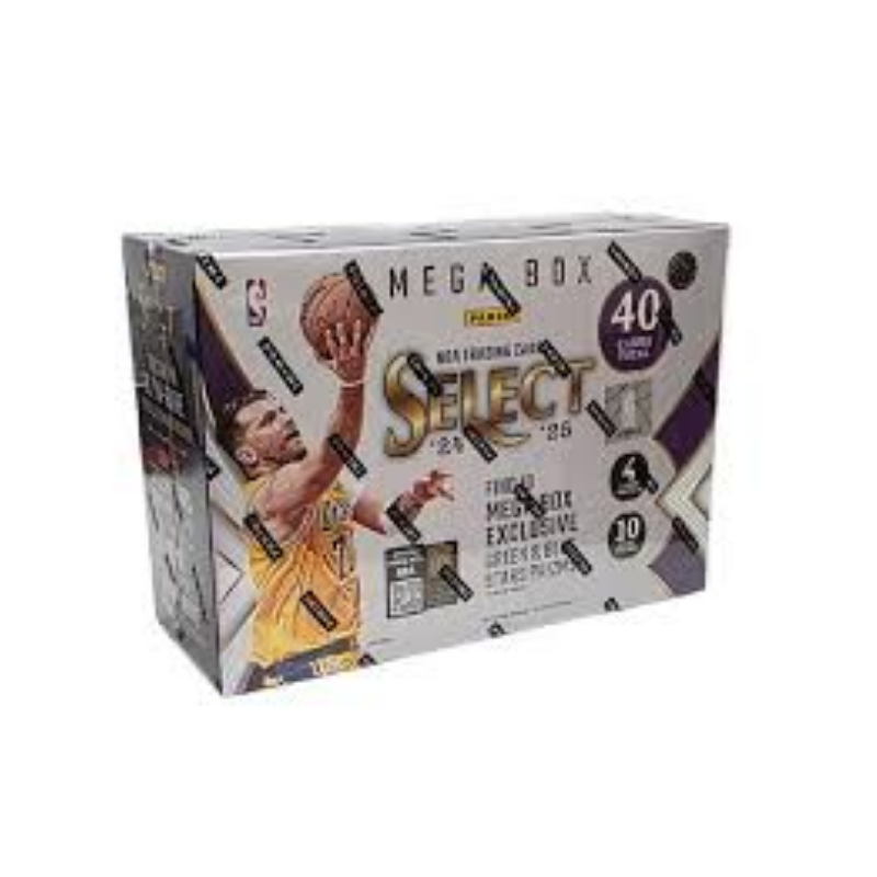 2024/25 Panini Select Basketball Hobby Mega 20 Box Case